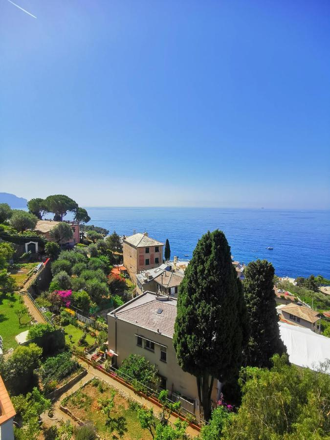 Marenostrum Pieve Ligure Eksteriør bilde
